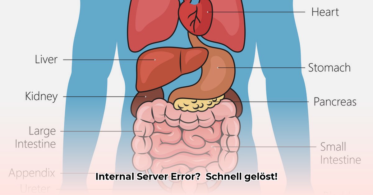 internal-server-error-deutsch
